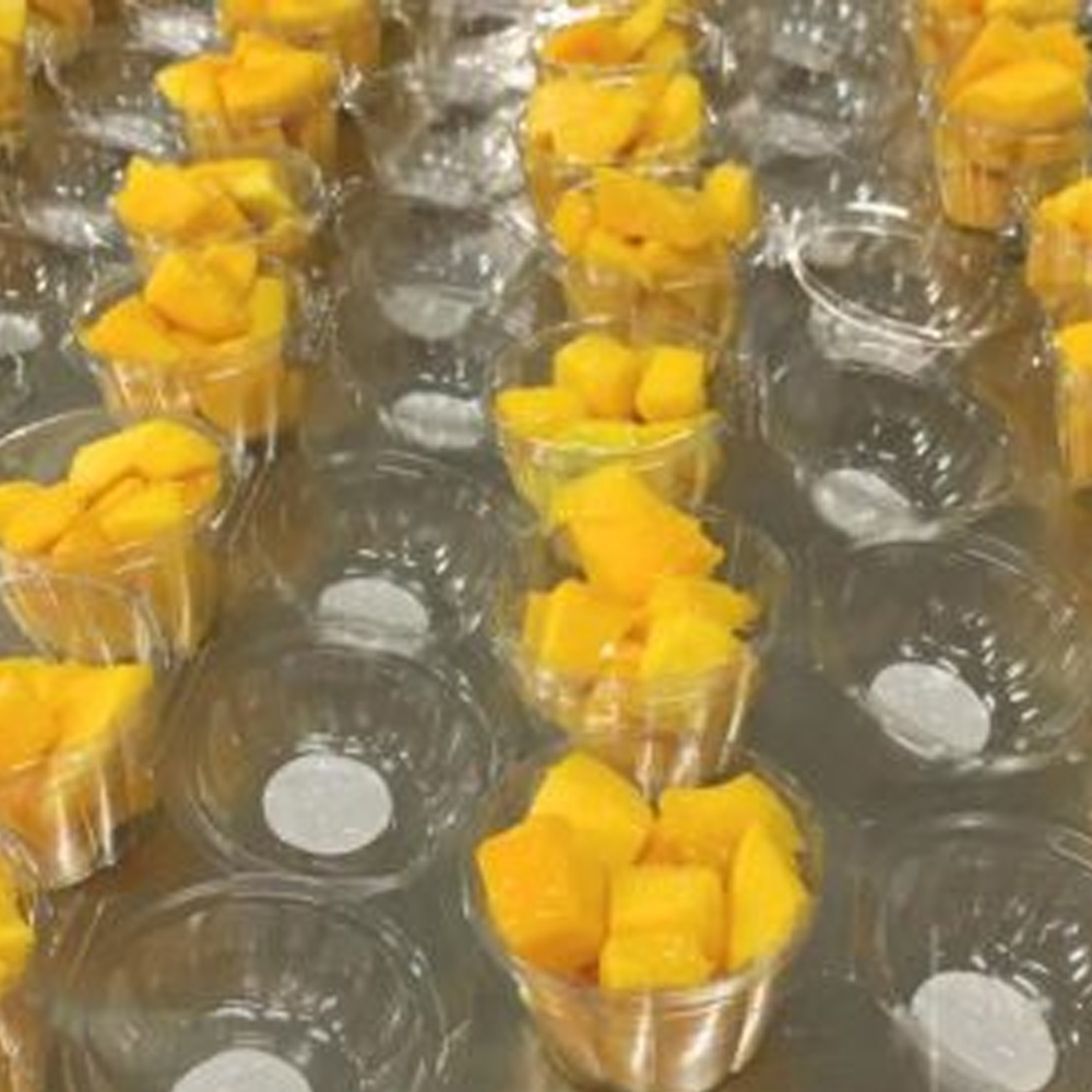 Frutas Processadas