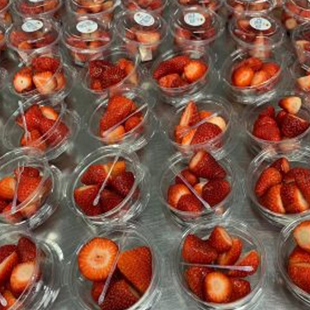 Frutas Processadas